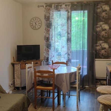 Appartement Avec Vue Sur La Montagne Bagnères-de-Luchon Kültér fotó