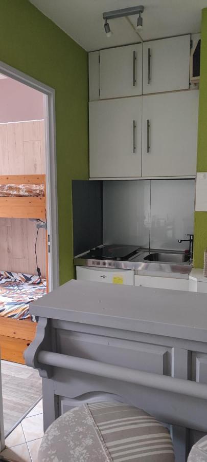 Appartement Avec Vue Sur La Montagne Bagnères-de-Luchon Kültér fotó